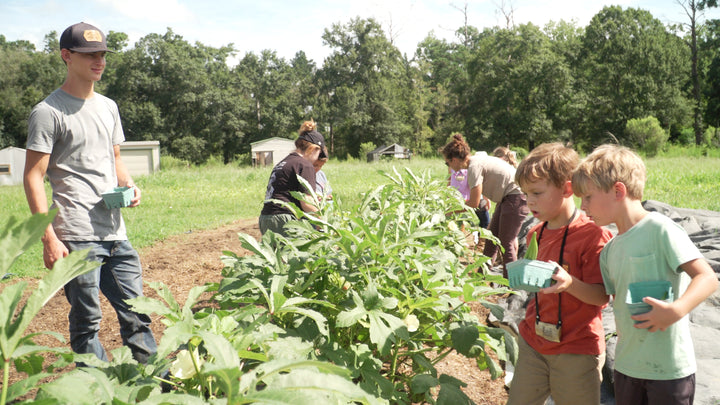 Farm to Fermentation Day Camp
