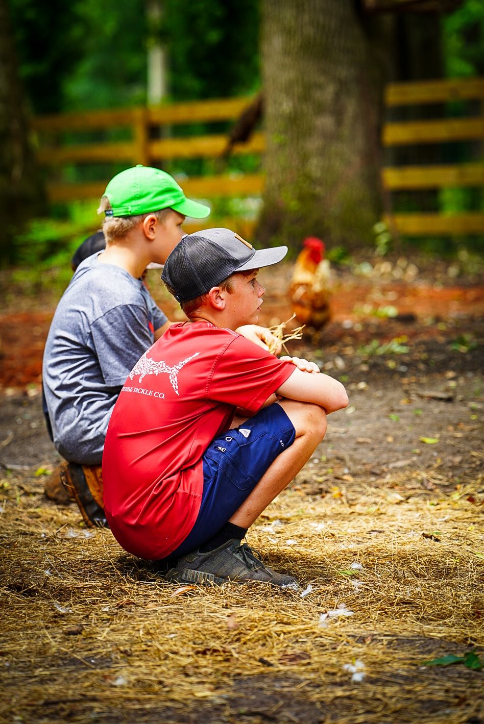 Young Farmers Summer Camp (Age 9-12)