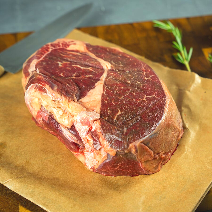 The Carnivore Bundle