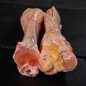 Grassfed Beef Feet